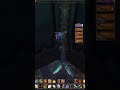 World of Warcraft: Shorts -  CATS Are COWS! (Theater of Pain)