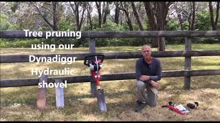 Tree Risk Assessments Melbourne