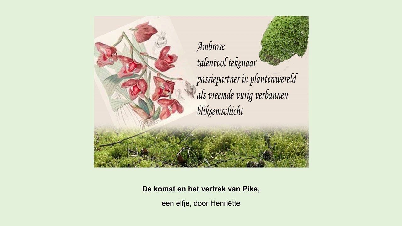 Het hart van alle dingen - YouTube