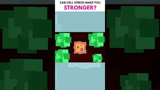 Can Cell Stress Make You Stronger? 💪🧬