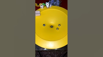 🐢🐢🐢 Epic Marble Race | oddlysatisfying | Marbles Run Race ASMR | Haba | Funnel | Jungle | chrome 🐢🐢