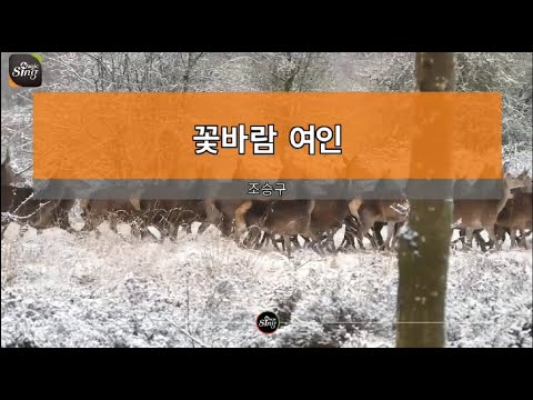 [아싸매직씽] 조승구  - 꽃바람여인  karaoke | MAGICSING