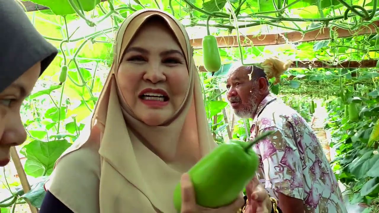 Ajar anak Tanam sayur