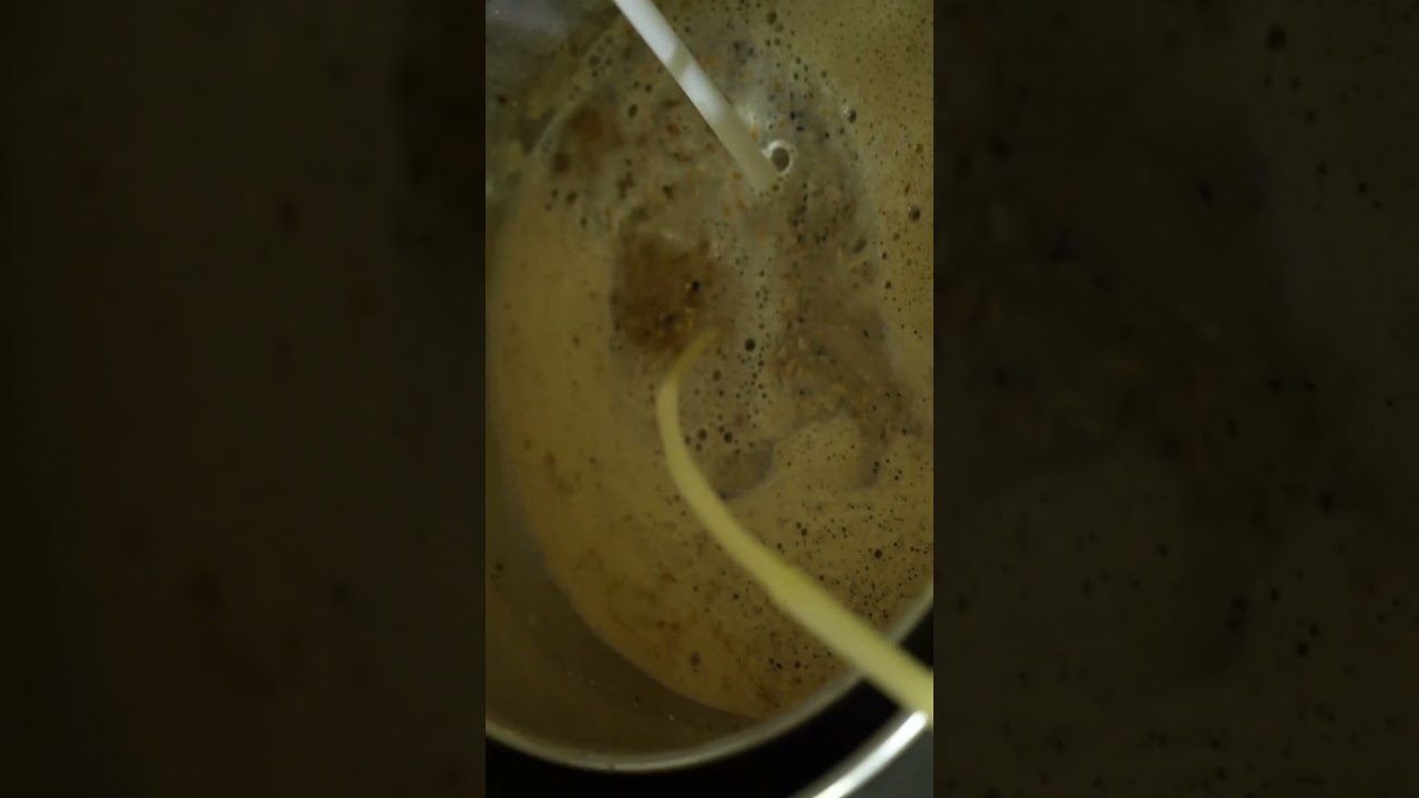 Bavarian Dunkel short beer