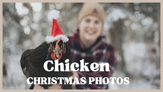 Chicken Photoshoot | Vlogmas 2023 Day 3 by Wicked Life 325 views 5 months ago 15 minutes