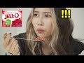 Koreans Try Jello for the First time!!! It looks like💩!!!