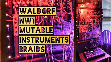 Waldorf NW1 Mutable Instruments Braids - LavLab