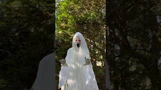 Richmond Country Farms Pumpkin Patch