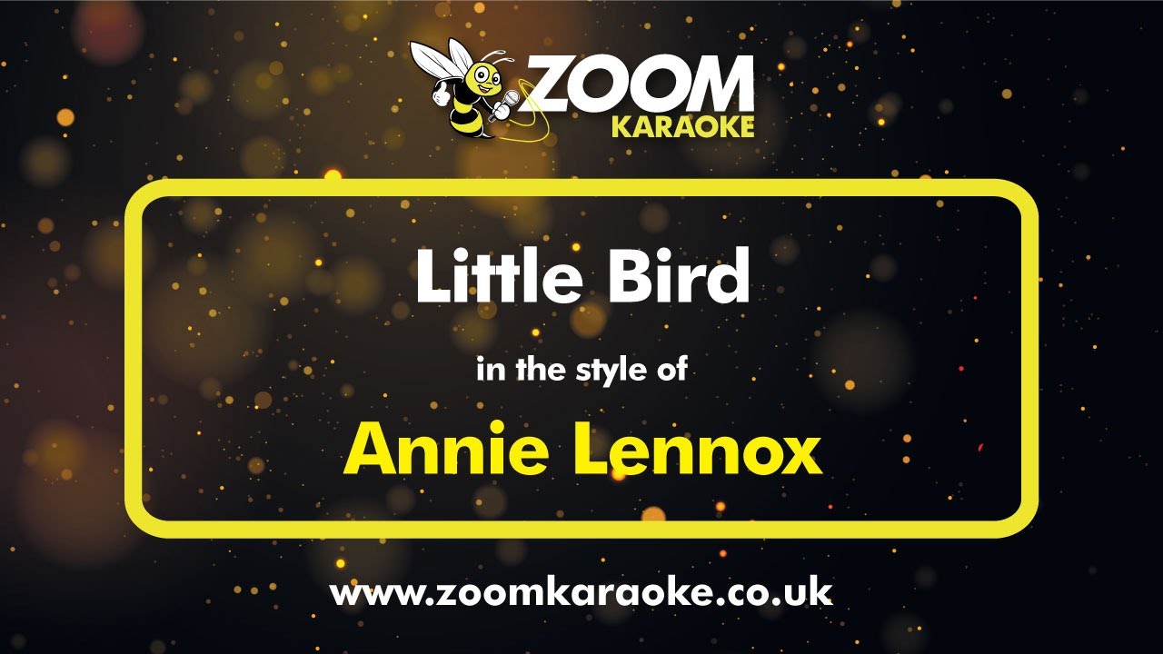 Annie Lennox - Little Bird - Karaoke Version from Zoom Karaoke