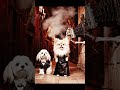 Secret Life of Aristocrat Pups Revealed! #automobile #adorably #funnypets #funny #adoreble