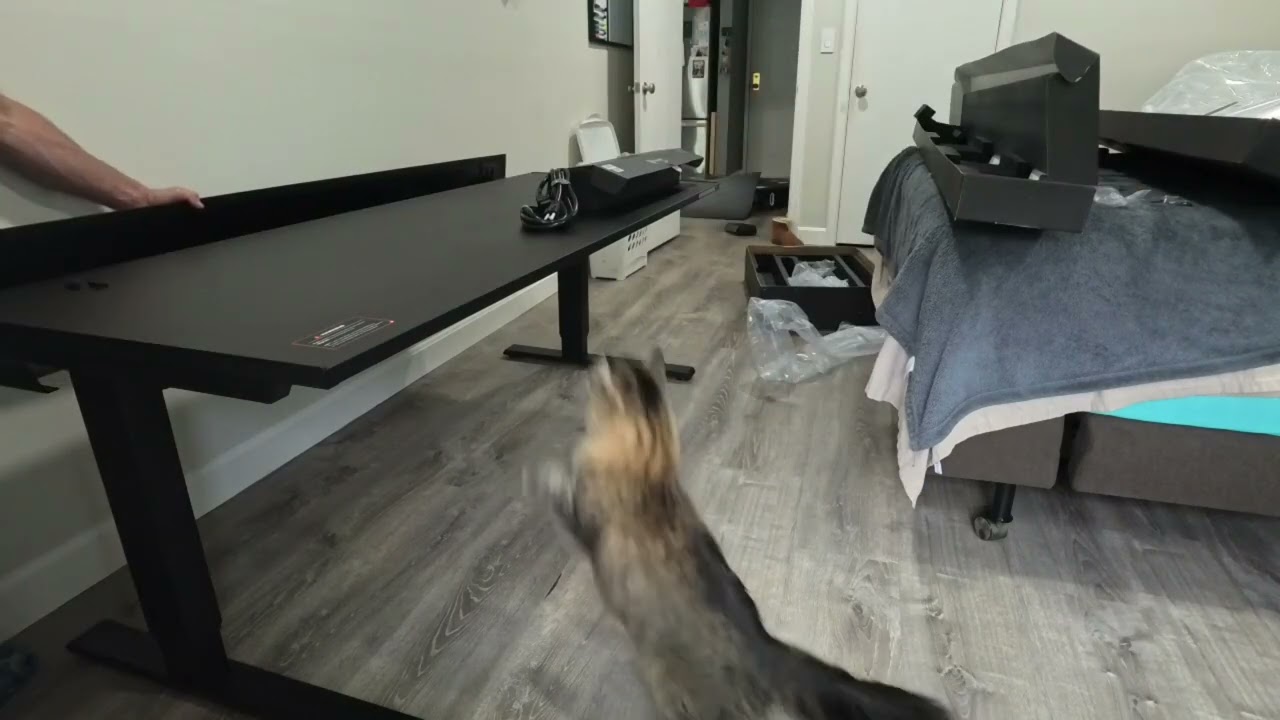 Unboxing My New Secretlab Magnus Pro XL Desk