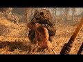 THE CAVE BEAR - All prey hunting animation in SLOW MOTION