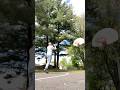 A NEW STREETBALLER EMERGES! #streetball #basketball #trickshot #savesoil #consciousplanet