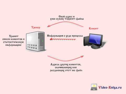 ПРИНЦИП РАБОТЫ ПРОТОКОЛА-20-08-2015