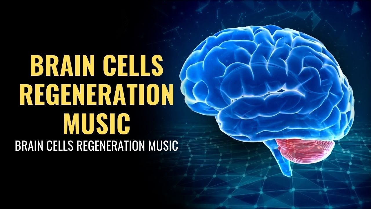 Мозг терапи отзывы покупателей и врачей. Regeneration of Brain. Brain Healing. Мозг терапи цена и отзывы.