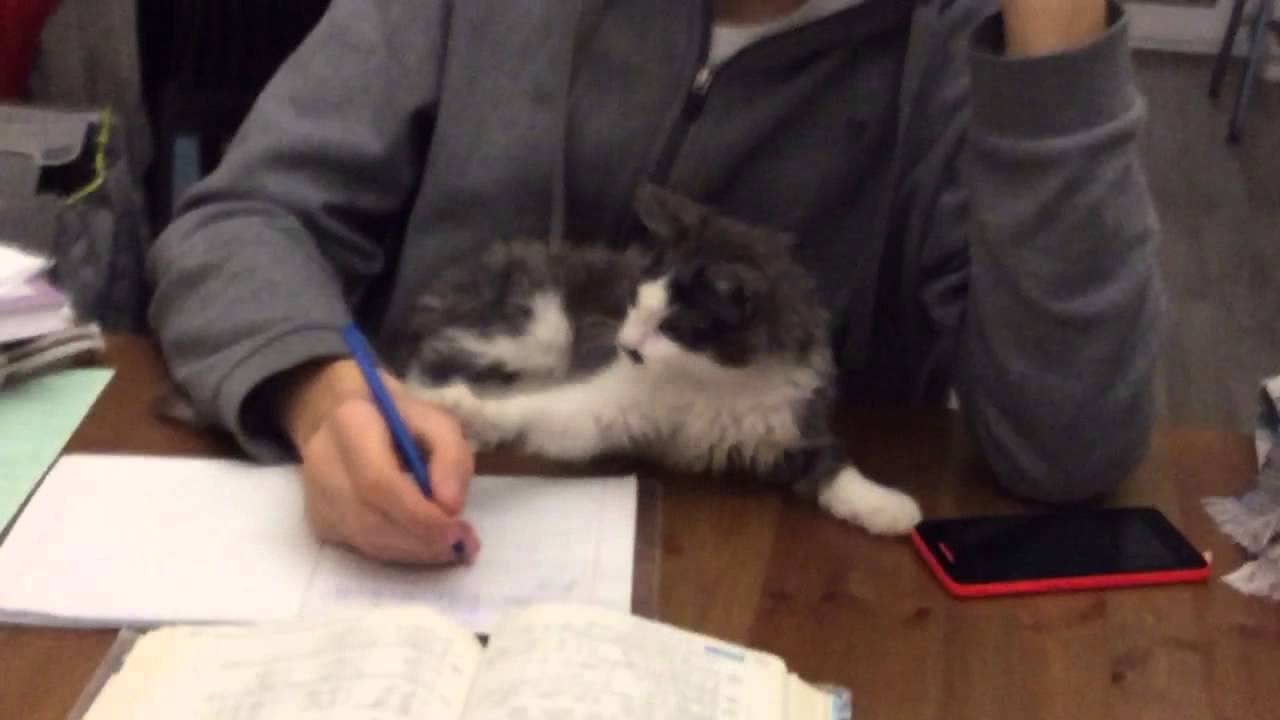 trim BE19F727 8F68 4665 AFBF 947C3E6349F7