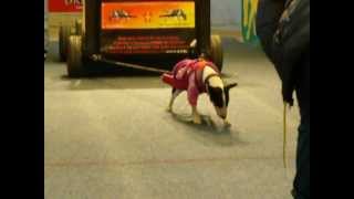 120407 052Rut 434.avi