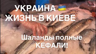 УКРАИНА 🇺🇦 ЖИЗНЬ В КИЕВЕ. Киев сегодня и сейчас. 3 марта 2026 г. Шаланды полные КЕФАЛИ! 