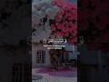 Surah Al-Falaq | Verses 1-5 Reciter | Bilal Darbali