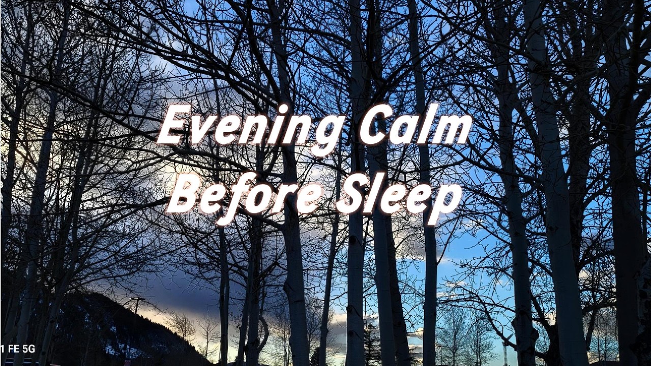 Evening Calm | Restaurant background music | 夜晚陪伴 | 沈浸式放鬆 | 高級餐廳背景音樂