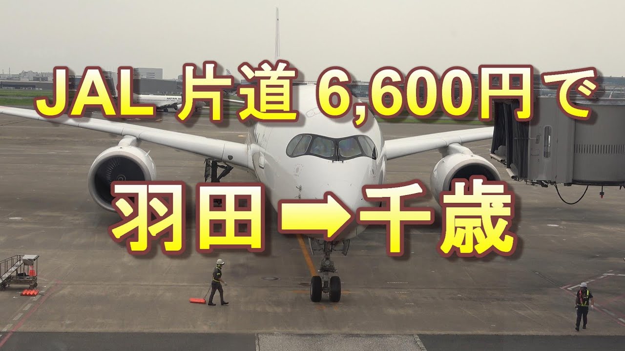 【急ぎです】飛行機チケットJAL3/30 羽田空港→新千歳　 羽田空港(東京)発→新千歳空港(北海道)着の飛行機・格安航空券比較
