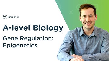 Gene Regulation: Epigenetics | A-level Biology | OCR, AQA, Edexcel