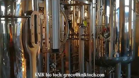 China KNIK bio yeast  SIP fermentor bioreactor fermentation system 25L 150L 1500L