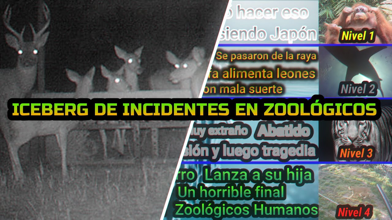 El iceberg de incidentes ocurridos en zoológicos
