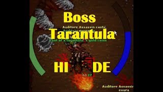 Tibia - Hide (Boss Tarantula)