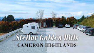 Camping Stellar GoldenHill Cameron Highlands | Campsite Sejuk #malaysia #cameronhighlands  #camping