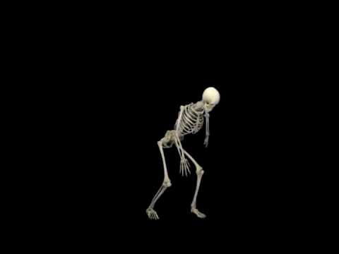 Vídeo: Um Esqueleto 