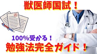 獣医師国家試験の勉強法完全ガイド！これを観れば100％受かります