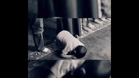 من أروع تلاوات الخاشعة الشيخ يوسف الصقير ماتيسر من سورة آل عمران