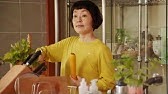 三谷幸喜の離婚の真相に驚きを隠せない 映画やドラマで活躍する元嫁小林聡美への想いとは Youtube
