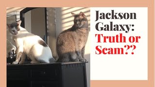 Testing Jackson Galaxy's Method: How to Introduce Cats