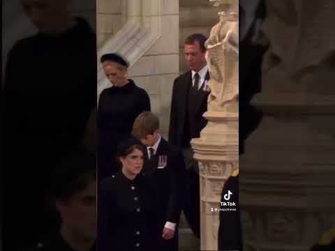 Queen’s Grandchildren hold vigil as Prince Harry returns to military uniform