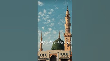 قرآن كريم {يهدي الله لنوره من يشاء}القارئ عبدلله مصطفى #quran #قرآن #اكسبلور