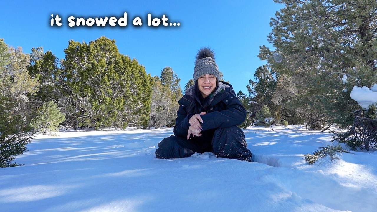 i Escaped to the VEGAS Snow...