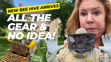 "Welcome to Our Channel! New Bee Hive, Wild Meadow Flowers & Country Life in North Yorkshire 🌻🐝"