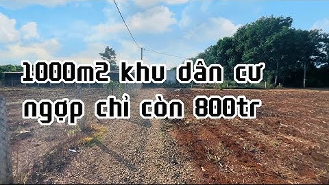 chi hiền quá kẹt tiền nên giảm giá để bán nhanh lô đất vườn đẹp ở châu đức bà rịa vũng tàu giá rẻ