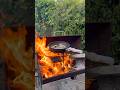 Cooking fish over wood fire 🐟🔥 #fish #firecooking #woodfire #grilledfish #outdoorcooking