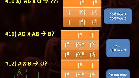 Complex Inheritance Patterns
