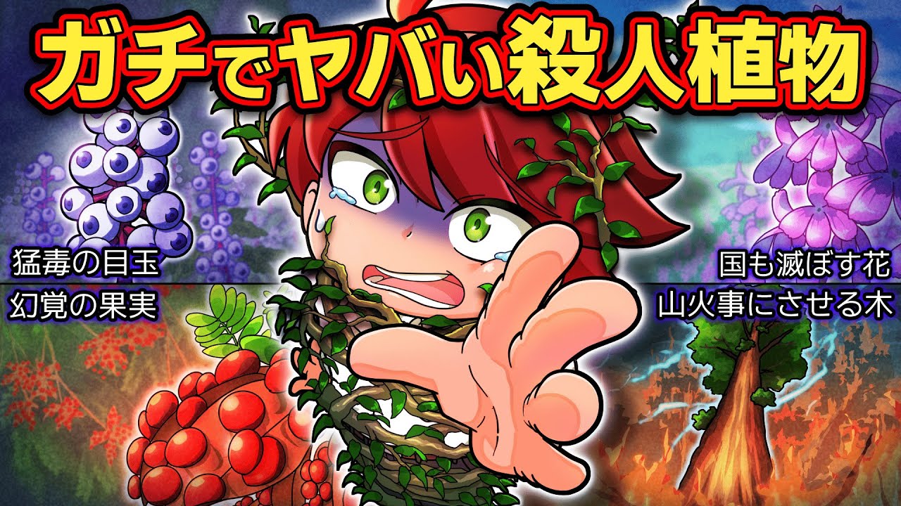 【実在】ガチでヤバい殺人植物4選【アニメ】【マンガ】