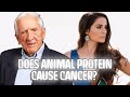 Dr. T. Colin Campbell Interview- link between animal protein and cancer