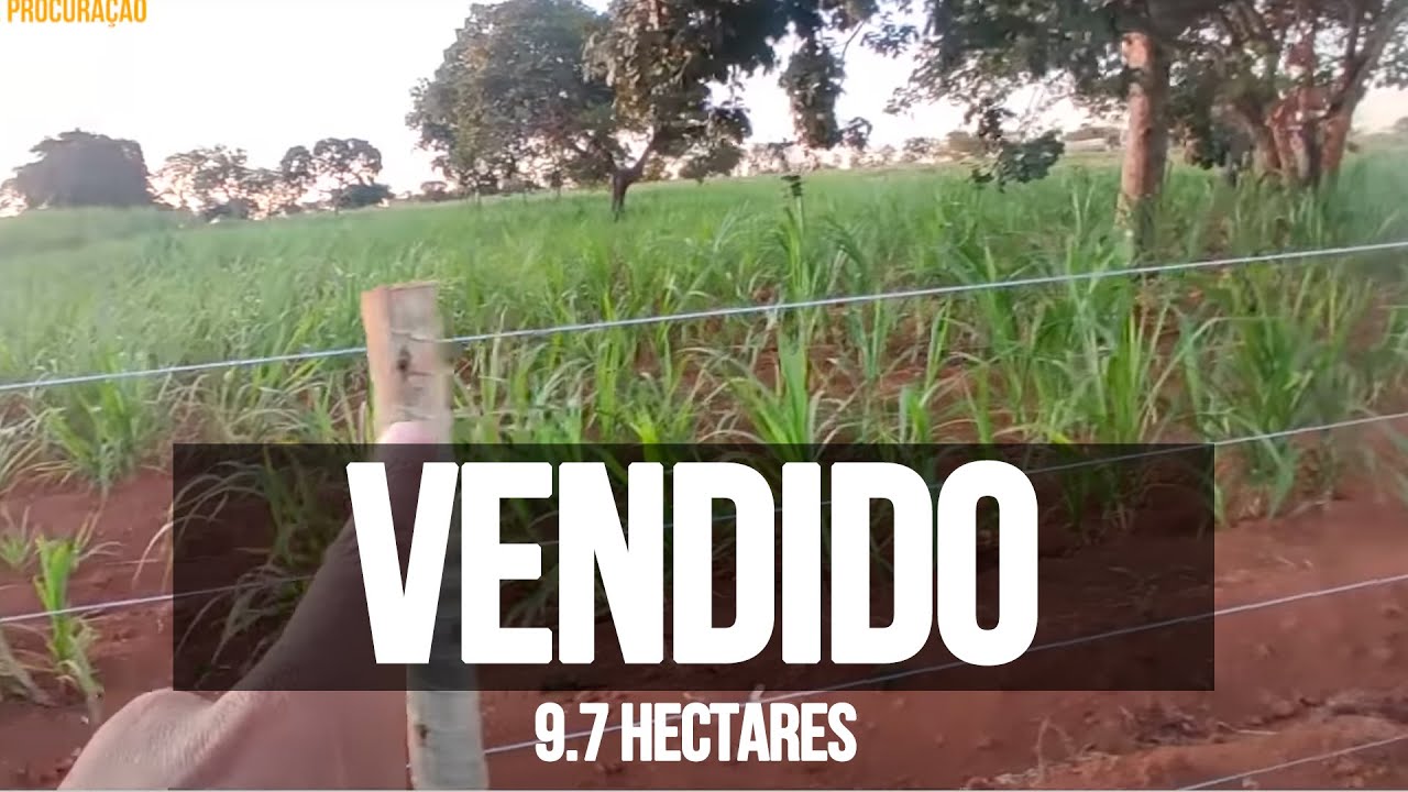 Unaí-MG.VENDIDO. Sítio 9.7 hectares,  pecuária, 2 km do asfalto