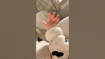 أكتب شيء تؤجر عليه𝑸𝒖𝒓𝒂𝒏|#عبدالرحمن_مسعد#راحة_نفسية#سورة العنکبوت#viral‌🤍🌴