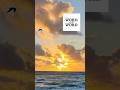Sing the Word | Genesis 1:1 | Day 51
