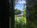 Upper Falls | Nature #Shorts | Tahquamenon Falls State Park | Waterfall Wednesday | View 1