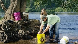 Instructions For Panning and Collecting Gold: Gold Rush Nugget Bucket