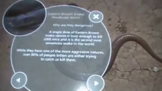 interactive table